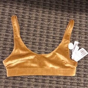 Forever 21 Gold velvet bralette